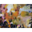 Opus Print by Elizabeth Chapman-65853080-65828637