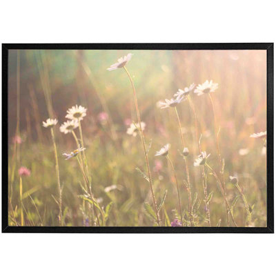 Congers Chamomile - Single Picture Frame Print