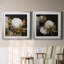 Cotton Balls I - Cadre photo-1492861062-1492861061-1492861057