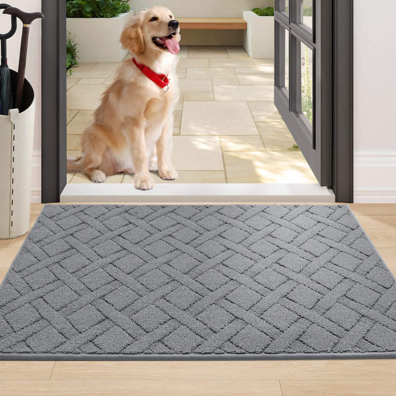 Dioselina Non-Slip Indoor Doormat, 24" W x 36" L, Charcoal
