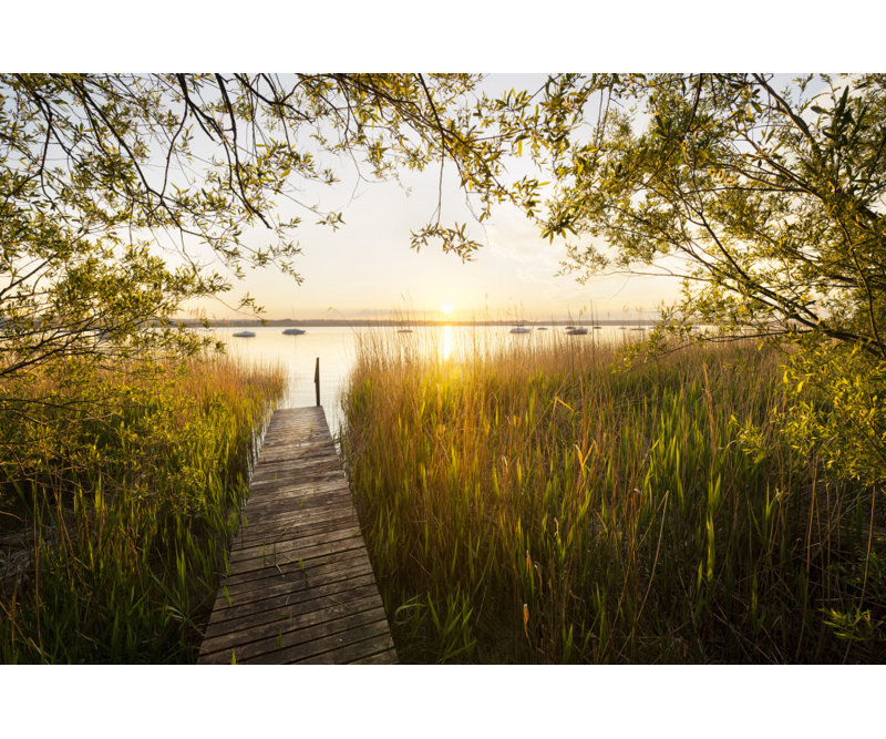 Jetty