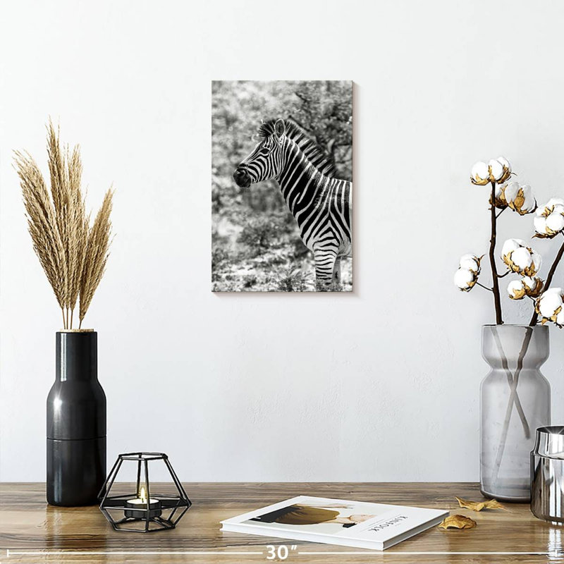 BW Portrait of Burchell's Zebra II, H 12 po x l 8 po