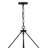 Hinkley Copley Chandelier-108493446