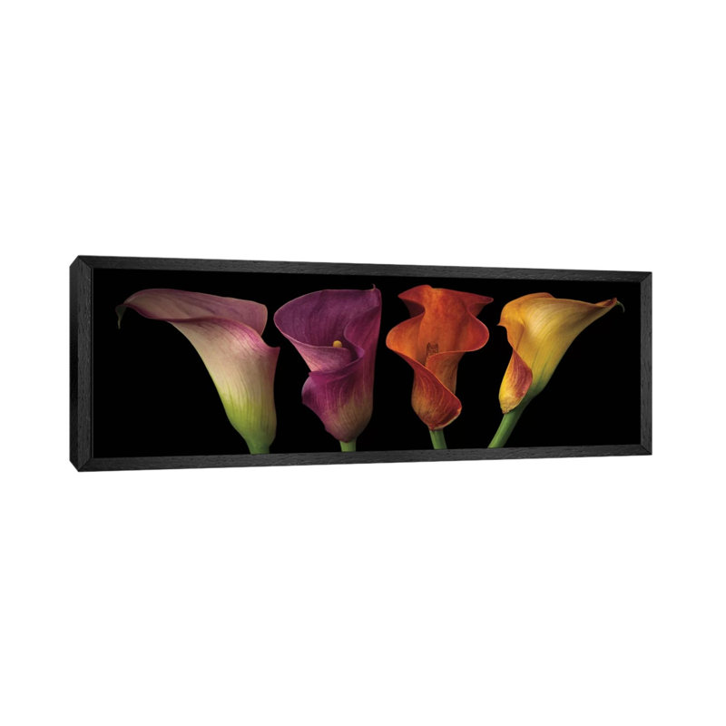 Jewel Calla Lilies 1 Piece Panoramic Wall Art on Canvas, 121.92 cm H x 40.64 cm W, Classic Wood Floater Framed