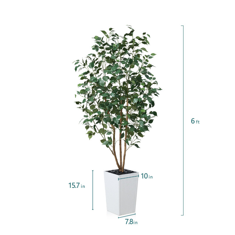 Adcock UV Protected Artificial Ficus Tree with Decorative Base, Faux Ficus Plant with Natural Trunk, White