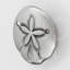 Grand bouton Sand Dollar-39948843-128036967-128036968