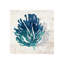 Cerulean Coral IV Print by Sofia Fox-27089774-27089779