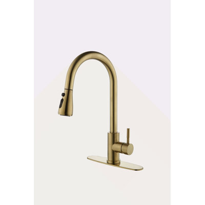 Kitchen Faucet With Pull Out Spraye