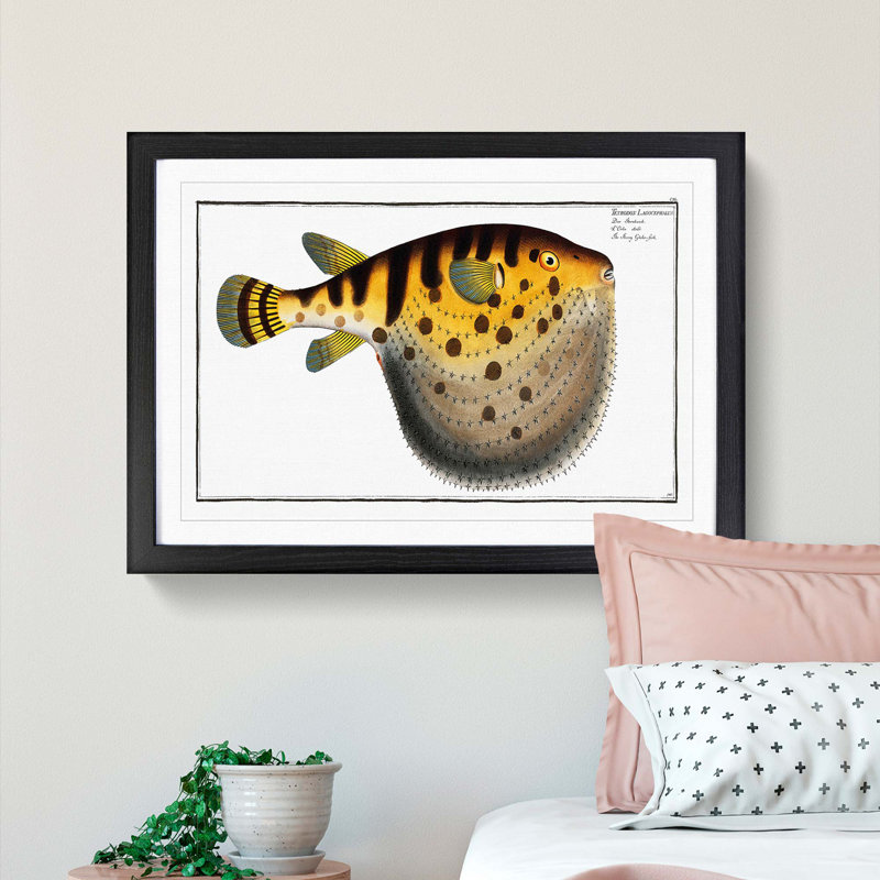 Pufferfish by M.E. Bloch - Framed Print, 48cm H x 65cm W x 2cm D, Black Framed