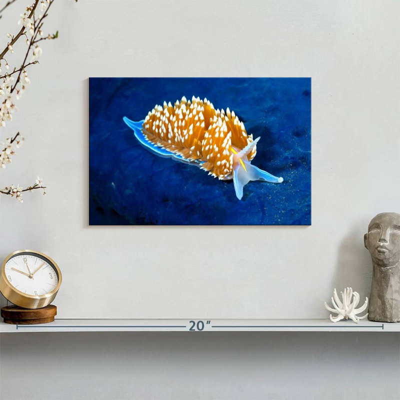 Glowing Nudibranch, 8" H x 12" W