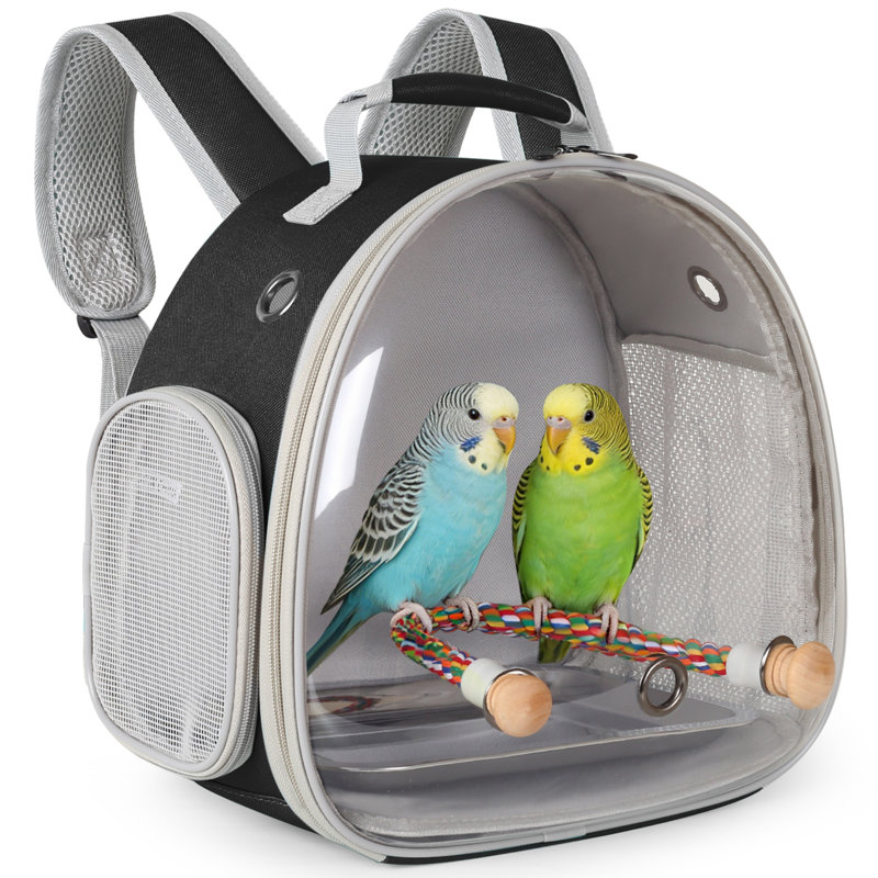 Sac à dos de transport pour petits oiseaux avec support et plateau métallique, sac transparent à bulles pour transporter une perruche calopsitte, noir