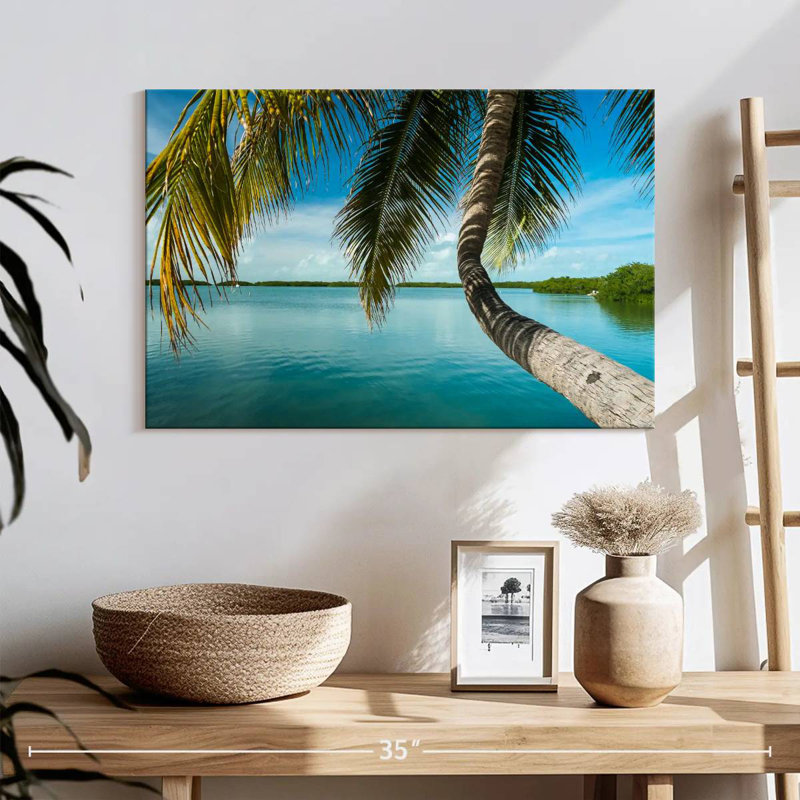 Palmier Gillard Seaside, H 16 po x l 24 po