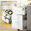41cm Wide 2 -Drawer File Cabinet