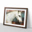 White Horse Portrait - Picture Frame Painting Print-56739173-56739170