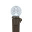 LED G12 Berry Christmas Lights - 16' Brown Wire - 50 Ct-1396963511