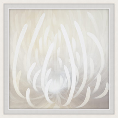 Exquisite Treasures 1 by Art House Studios