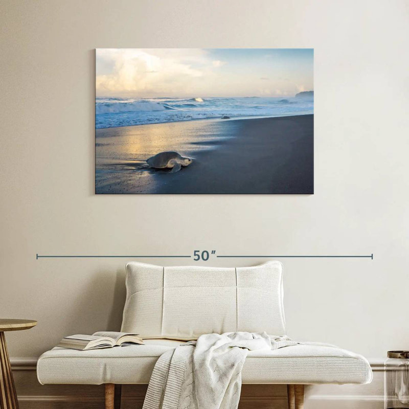 Ronce de tortues de mer, H 26 po x l 39 po