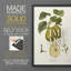 Vintage Pears III - reproduction encadrée de qualité supérieure - prête à être accrochée - aucun clou requis - aucun clou requis-121693954-121693957