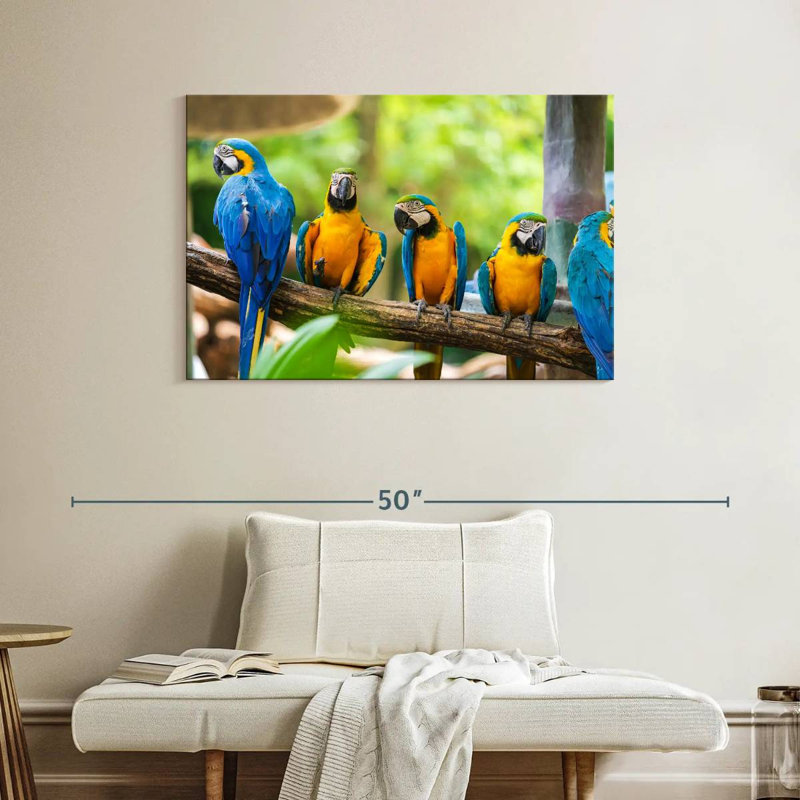 Brampt Macaw Party, 26" H x 39" W