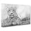 Leopard Resting Painting - Wrapped Canvas-56656148