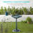 Bird Bath-809425105