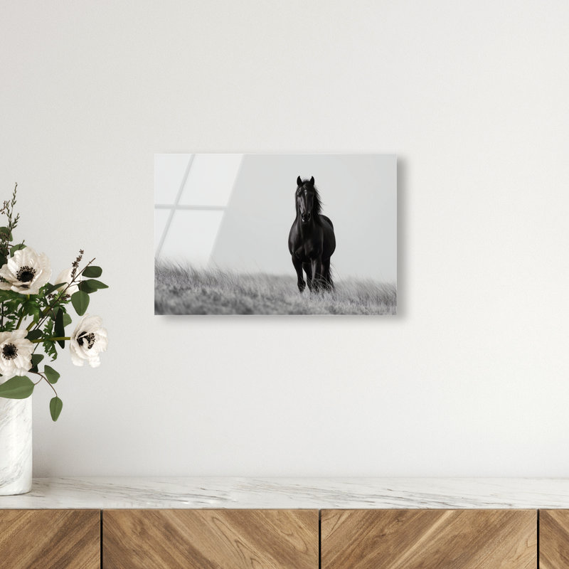 Lone Stallion I Print, 10" H x 15" W, High-Gloss Acrylic Print
