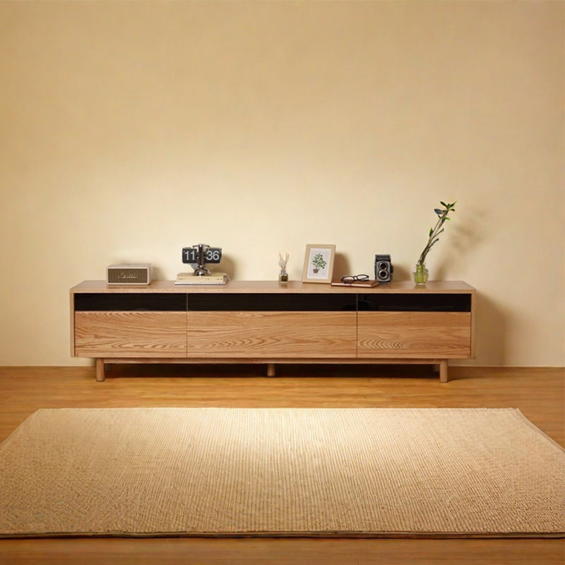 Modern simple popular practical TV cabinet