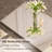 Areiona Beveled Bathroom Accent Vanity Mirror-811519014-863417218