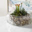 Bol en verre transparent Clearly Thorough