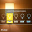4 Watt (40 Watt Equivalent), G16 LED, Milky Dimmable Light Bulb, (2700K) E12/Candelabra Base