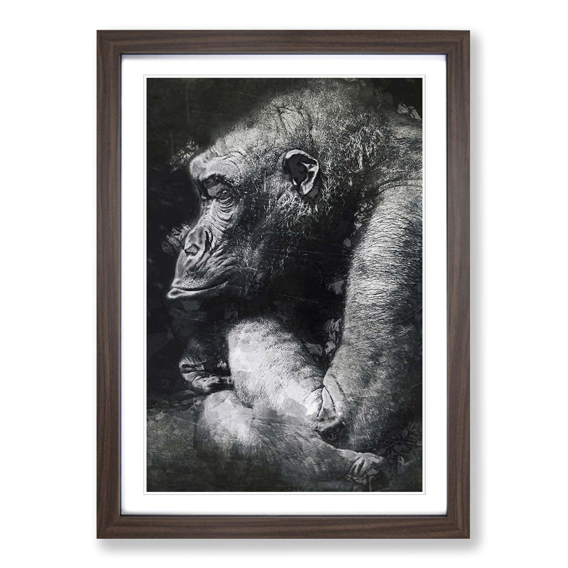 The Crouching Gorilla in Abstract - Picture Frame Graphic Art Print, Walnut Framed, 36cm H x 27cm W x 2cm D