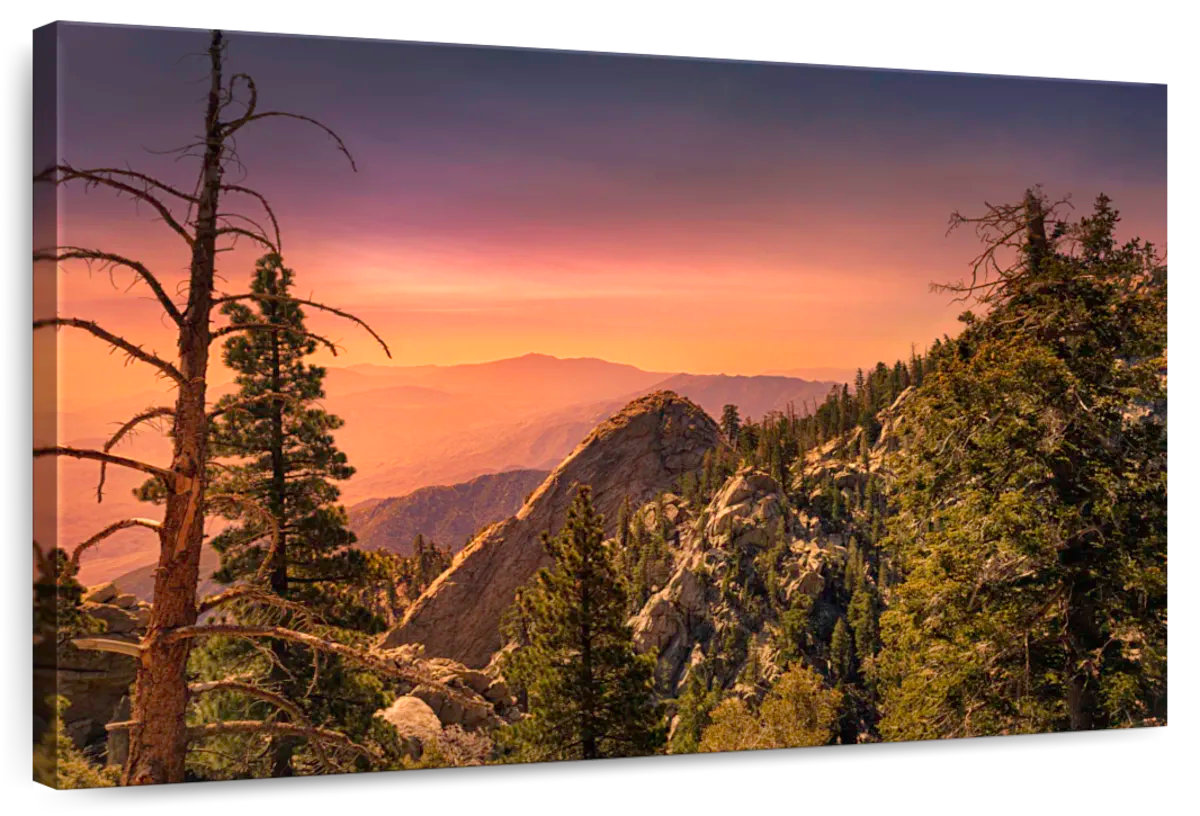 Millwood Pines Alvord Sunset Over San Jacinto Park | Wayfair