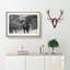 The Majestic Elephant - Framed Print-56627779-56627782