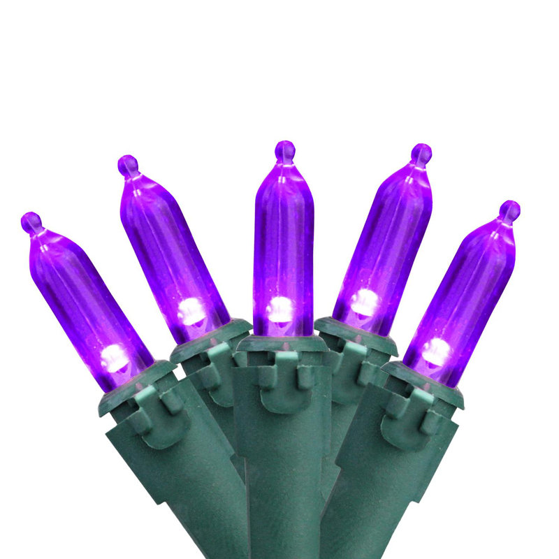 Guirlande de 100 lumières DEL, Mauve / Vert, 50
