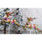 Indoor/Outdoor Oversized Christmas Décor, Long-Lasting LED Lights, Santa Sleigh and Flying Reindeer