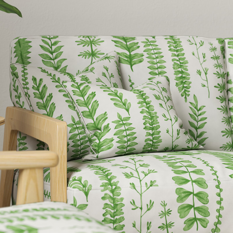 Ferns - Juniper