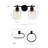 Jerald Vanity Light