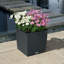 Moneak Planter Box-2033258000-2033258002