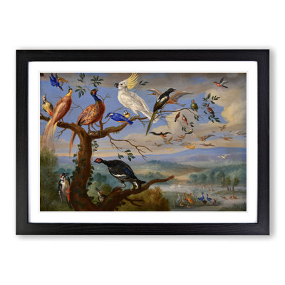 Exotic Birds by Jan Van Kessel - Framed Print