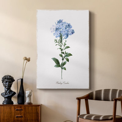 Cape Capeww - galerie Cavas sur mesure