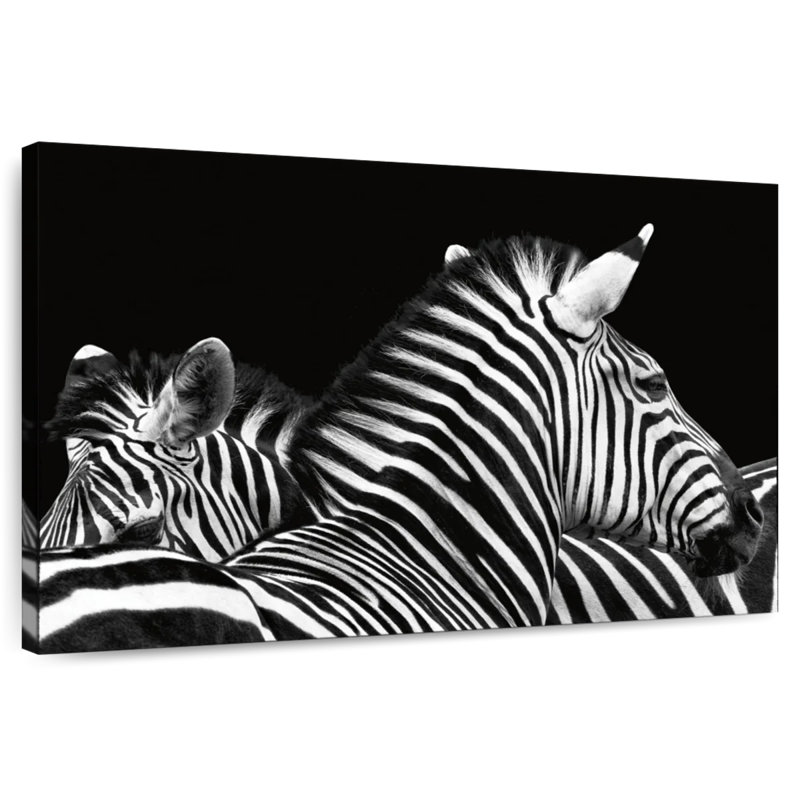 Brampt Zebra Stripes Pattern V, 8" H x 12" W