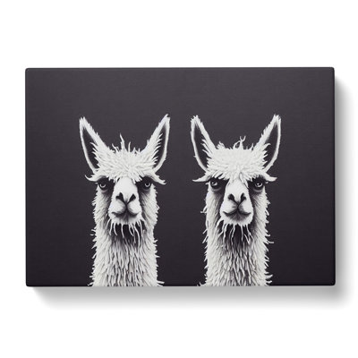 Two Llamas Vol.1 - Wrapped Canvas