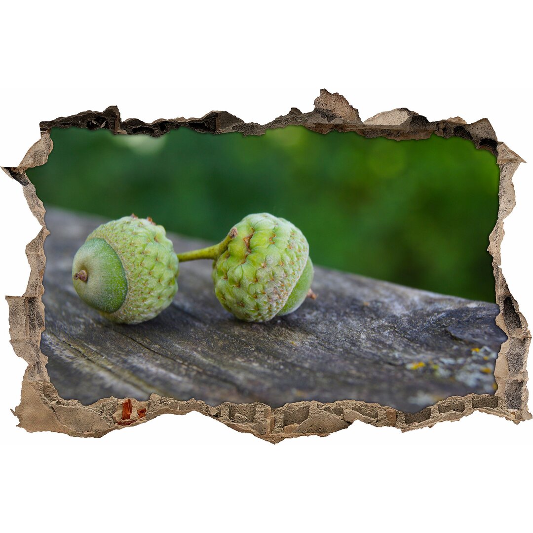 Tiny Acorns Wandaufkleber