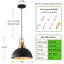2 - Light Chandelier