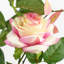 Plastic, Silk Rose Arrangement in Pot-109341031