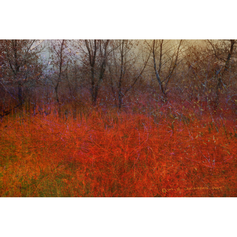 Impression sur toile tendue, H 8 po x l 12 po x P 1,25 po