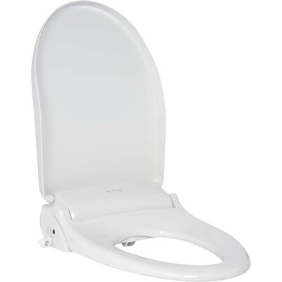 ALPHA BIDET Elongated Toilet Seat Bidet - Wayfair Canada