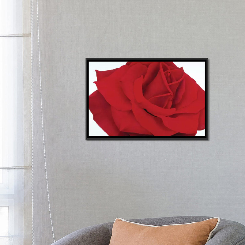«Red Rose», reproduction d'impression sur toile, H 40 po x l 60 po x P 1,5 po, Toile encadrée noire, Pas de tapis