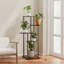 Plant Stand