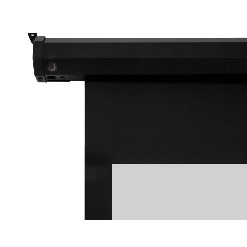 Spectrum series Electric Wall/Ceiling Mounted Projector Screen, 110"